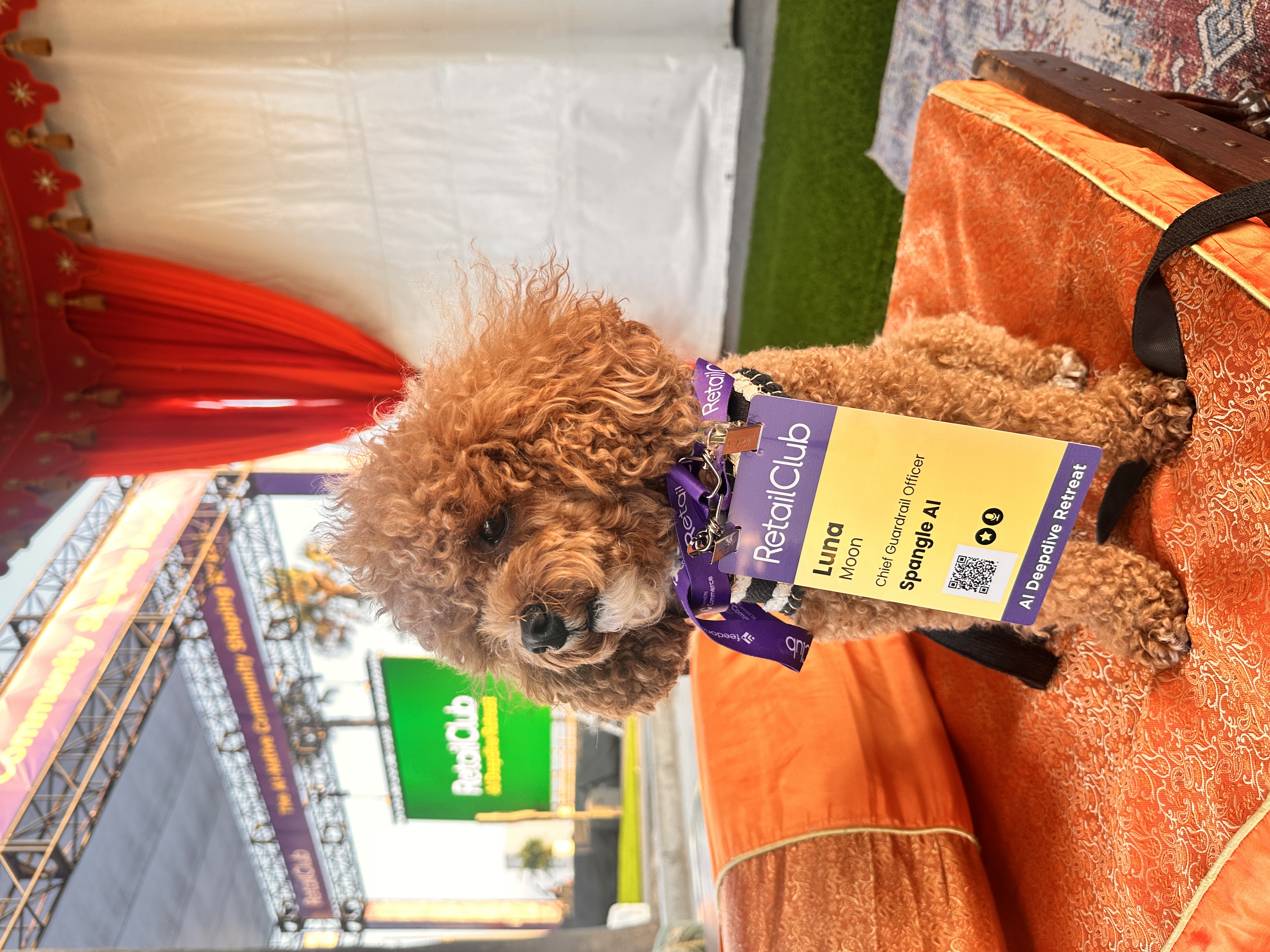 Luna's RetailClub badge: Chief Guardrail Officer, Spangle AI